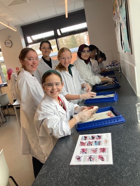 Senior school girls practicing fish dissection in the science lab. They are wearing gloves, white lab coats and goggles and have their hair tied up