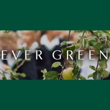 Ever Green - our new eco blog